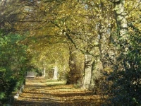 Limes Country House Hotel 