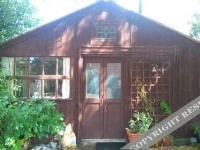 Pear tree farm 