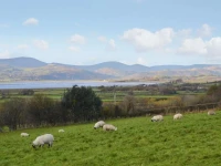 Moorside Lodge 