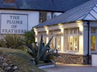 The Plume of Feathers 