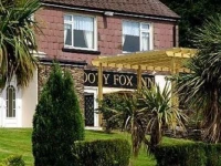 The Snooty Fox 