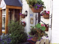 Silver Jubilee Guest House 