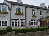 The Dog in Over Peover 