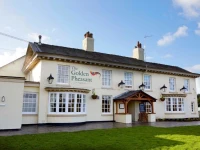The Golden Pheasant 