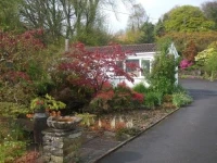 Cwmbach Guest House 