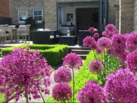 Boxtree House Boutique B&B 