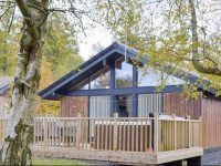 Magnolia Lodge