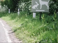 Hare & Hounds Campsite 