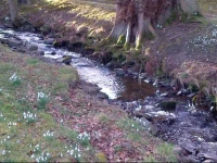 Tweed View B&B 
