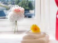 Mycosyapartment 47 
