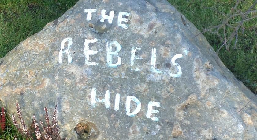 Rebels Hide 