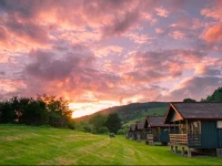 Logierait Pine Lodges 