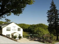 The Culbone 