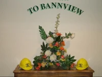 Bannview Bed & Breakfast 