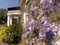 Cuffern Manor 