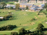 The Wiltshire 