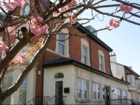 The Shelbourne 