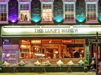 The Loopy Shrew 