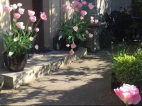 Kinburn Guest House 4*