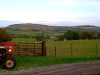 Pickersgill Manor Farm 