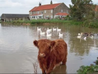 The Grainary Farm Stay - Scarborough 