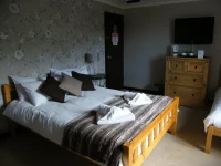 The Swan at Stoford 