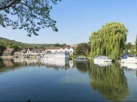 Swan At Streatley 