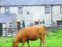 Topley Head Farm Cottages 