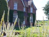 New Hall Farm 