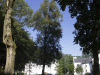 Castlewood Apartments 