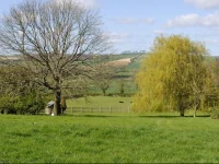 Belton Cottage 