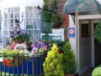 The Bay Guest House 