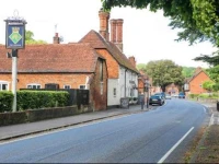 The Dolphin 