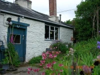 New Inn Brilley 