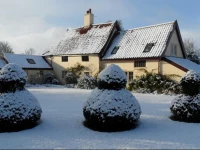 Holly Tree House Bed & Breakfast 