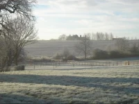 Oak Tree Farm 