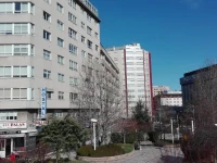 Hostal Palas 