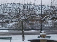 Hostal Fuentefria 