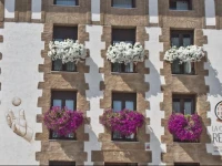La Casa Del Rebote 