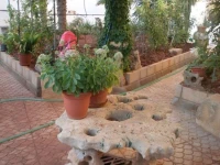 Hostal Los Rosales 