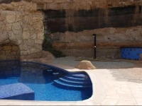 Bed & Breakfast Tenerife 