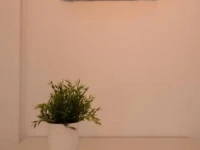 WellRenting Alicante SF 