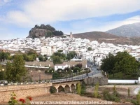 Finca Villa Rey 