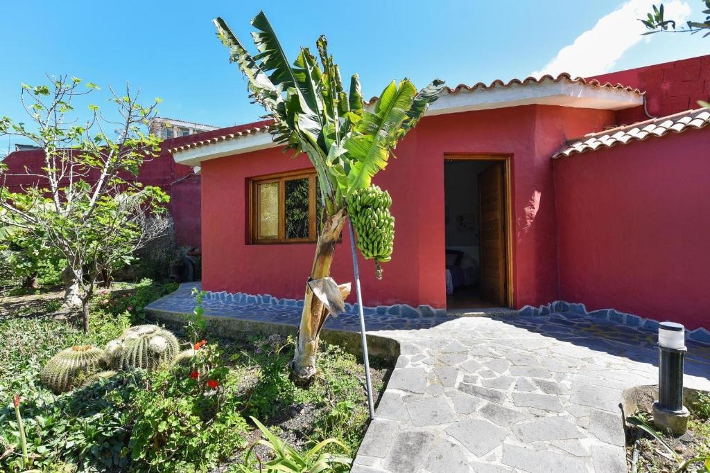 Traditional Country Villa Arucas 