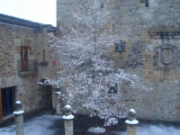 Batzarki 