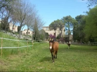 Mas Camins B&B 