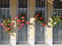 Hotel Lince 