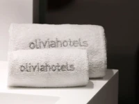 Olivia Plaza Hotel 