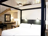 Hotel Banys Orientals 