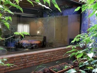 Apartamentos DV 